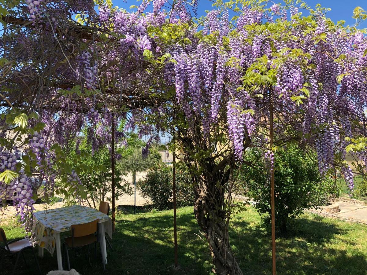 Gite climatisé pour 4 personnes avec piscine dans les hauteurs de Bollène Exterior foto